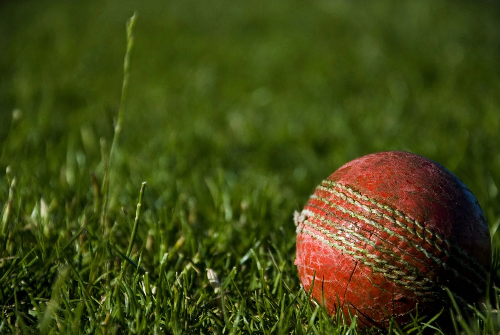 Cricket ball on grass